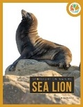 Cover: Sea Lion - Creative Education