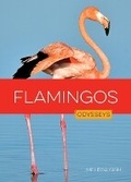 Cover: Flamingos - Creative Education