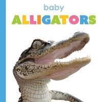 Enlarge image Cover: Baby Alligators - Creative Education