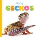 Cover: Baby Geckos - Creative Education