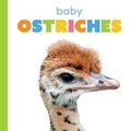 Cover: Baby Ostriches - Creative Education