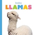 Cover: Baby Llamas - Creative Education