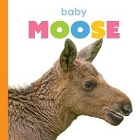 Enlarge image Cover: Baby Moose - Creative Education
