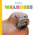 Cover: Baby Walruses - Creative Education