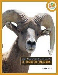 Enlarge image Cover: El Borrego Cimarron - Creative Education