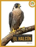 Cover: El Halcon - Creative Education