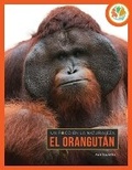 Cover: El Orangutan - Creative Education