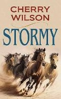 Cover: Stormy - Center Point