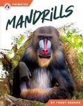 Cover: Mandrills - Apex