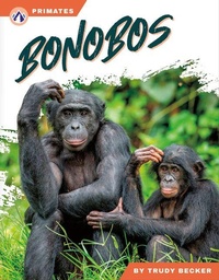 Enlarge image Cover: Bonobos - Apex