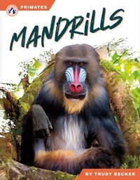 Enlarge image Cover: Mandrills - Apex