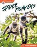 Cover: Spider Monkeys - Apex