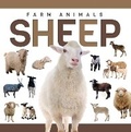 Cover: Sheep - North Star Editions