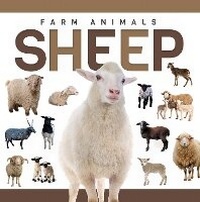 Enlarge image Cover: Sheep - North Star Editions
