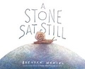 Cover: A Stone SAT Still - Amicus Learning