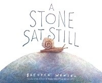 Enlarge image Cover: A Stone SAT Still - Amicus Learning