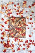 Cover: Dreisam - CMZ