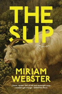 Abbildung von: The Slip - Aniko Press