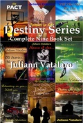 Cover: Destiny Series (Nikki & Kenny Story Nine Book Set) - Juliann Vatalaro