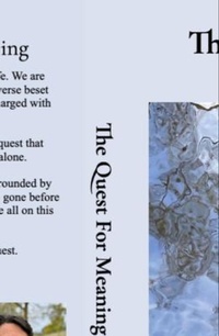 Abbildung von: The Quest For Meaning - Darren Koch