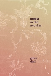 Enlarge image Cover: Unrest in the Nebulae - Duke University Press