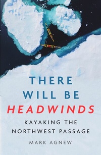 Abbildung von: There Will Be Headwinds - Icon Books