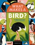 Cover: What Makes a Bird? - Flying Eye Books