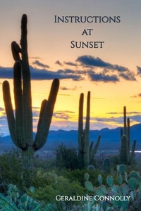 Enlarge image Cover: Instructions at Sunset - Terrapin Books