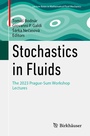 Cover: Stochastics in Fluids - Birkhäuser