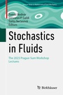 Cover: Stochastics in Fluids - Birkhäuser