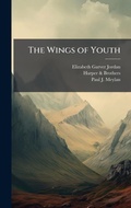 Cover: The Wings of Youth - Hutson Street Press