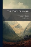 Cover: The Wings of Youth - Hutson Street Press
