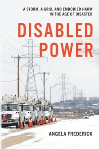 Enlarge image Cover: Disabled Power - New York University Press