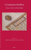 Cover: A Luminous Intellect - Brill