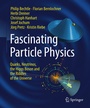 Cover: Fascinating Particle Physics - Springer