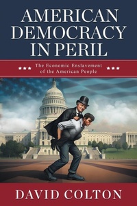 Enlarge image Cover: American Democracy in Peril - MINDSTIR MEDIA