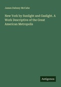 Cover: New York by Sunlight and Gaslight. A Work Descriptive of the Great American Metropolis - Antigonos Verlag