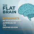 Abbildung von: The Flat Brain: Ketamine's Revolutionary Approach to Depression - TADJEDDINE BOUBAKEUR
