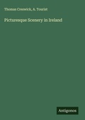 Cover: Picturesque Scenery in Ireland - Antigonos Verlag