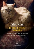 Cover: Il mio mostro adorato. Masha, la gatta che ho salvato e che poi ha salvato me - Oceani;La nave di Teseo