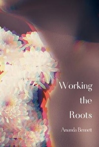 Enlarge image Cover: Working the Roots - Querencia Press, LLC