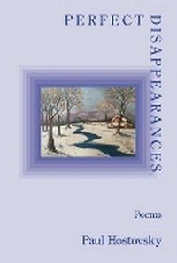 Enlarge image Cover: Perfect Disappearances - Kelsay Books