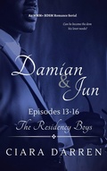 Cover: Damian & Jun: Episodes 13-16 - Ciara Darren