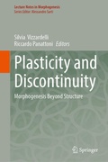Cover: Plasticity and Discontinuity - Springer