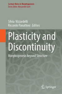 Abbildung von: Plasticity and Discontinuity - Springer
