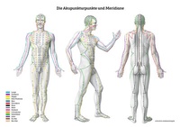 Abbildung von: Lernposter - Die Akupunkturpunkte und Meridiane - KVM - Der Medizinverlag
