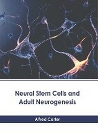 Abbildung von: Neural Stem Cells and Adult Neurogenesis - States Academic Press