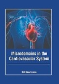 Bild: Microdomains in the Cardiovascular System - Foster Academics
