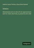 Cover: Zelmira - Antigonos Verlag