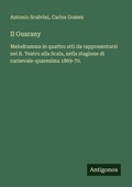 Cover: Il Guarany - Antigonos Verlag